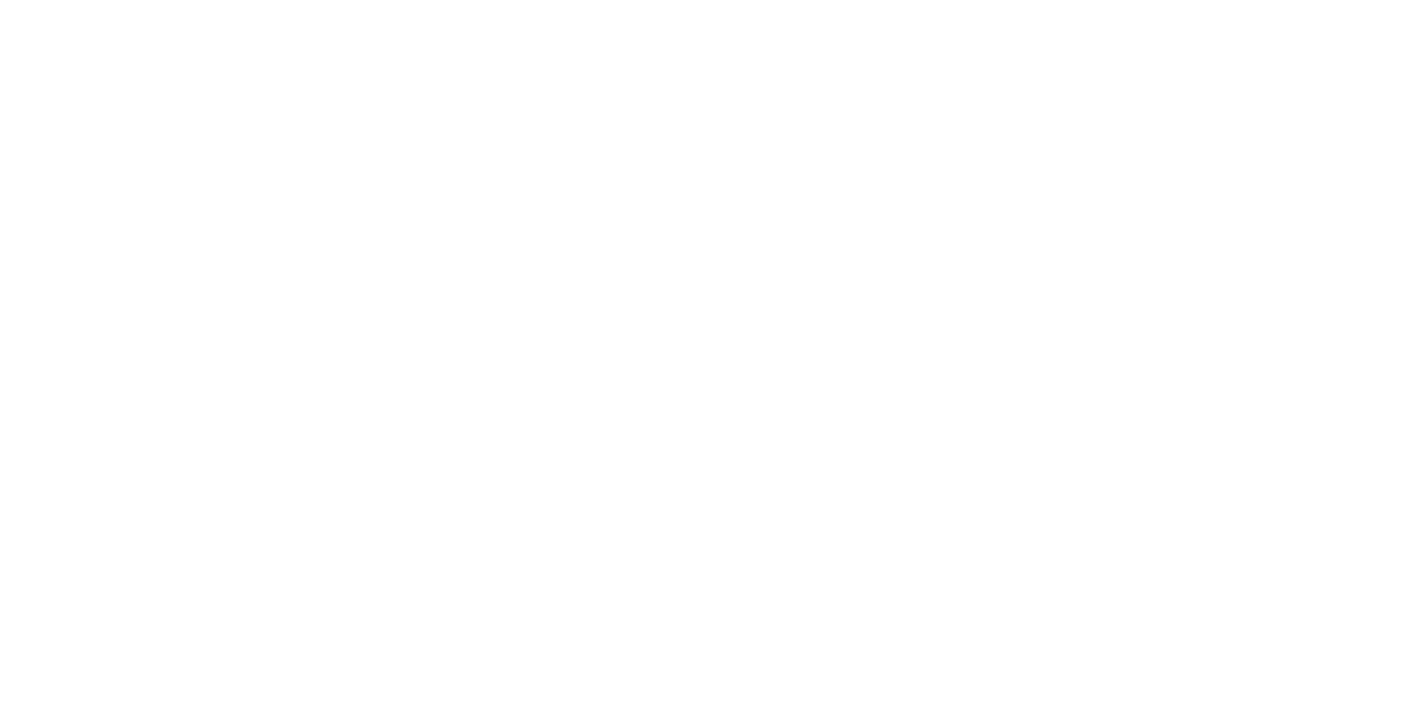 RSBOT Logo